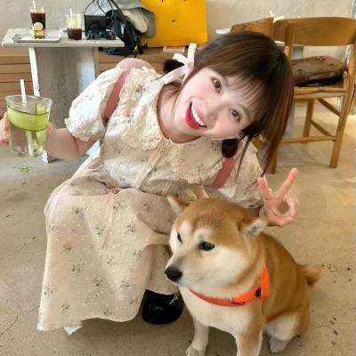 白粉飞 第三季